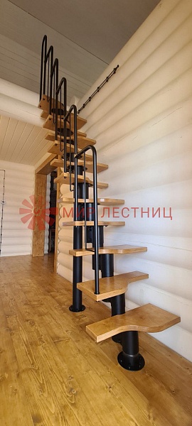 Лестница Гусиный шаг в деревне Шестаково